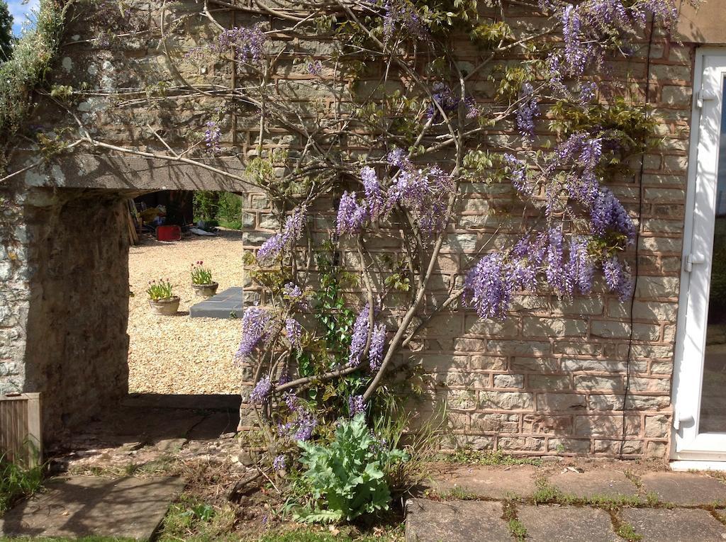 Bed and Breakfast The Coach House Ross-on-Wye Экстерьер фото